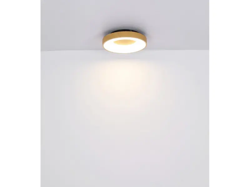 222364_JOLLI-41758-30-G26808 (7)